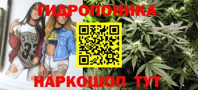 дмт Пушкино
