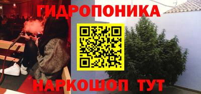 jwh Пыть-Ях
