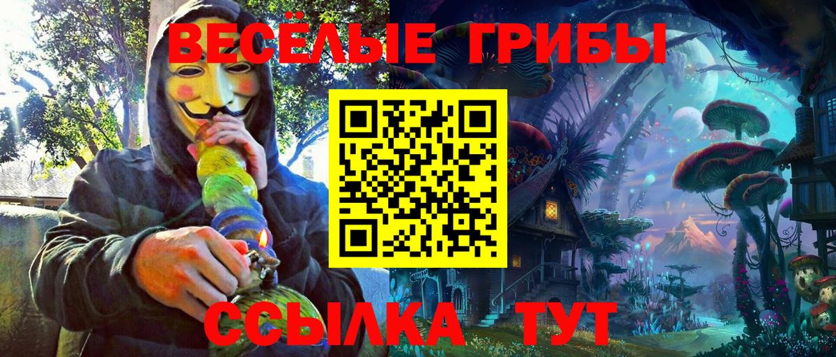 Галлюциногенные грибы Magic Shrooms  Вход с VPN  Новый Уренгой  Галлюциногенные грибы ЛСД 