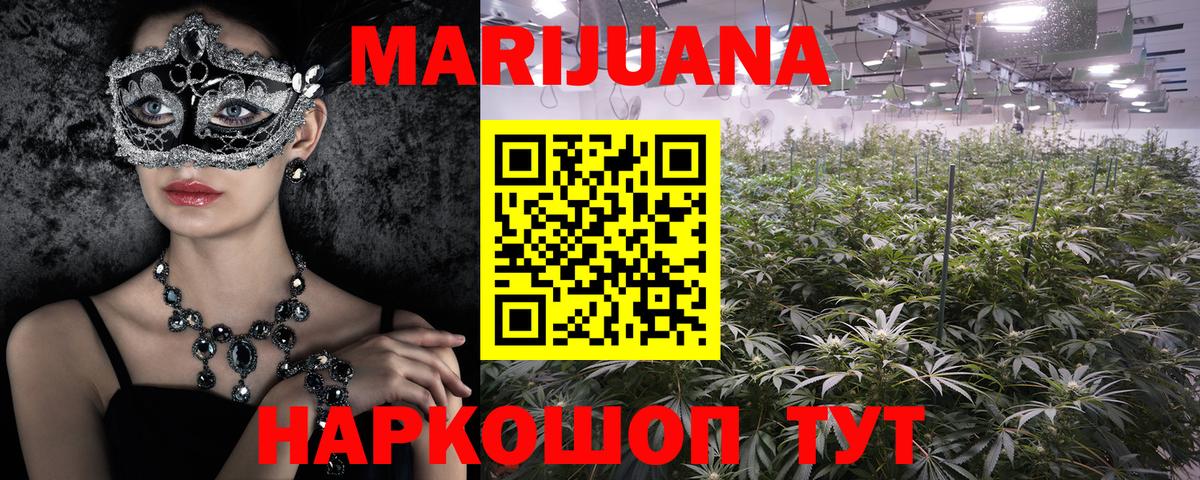 Бошки Шишки планчик Новый Уренгой